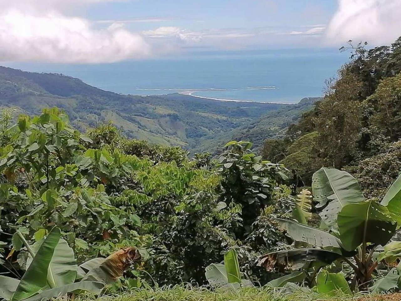 The Ultimate Sustainable Legacy, 360-degree Breath-taking Views Sea Ridge Reserve