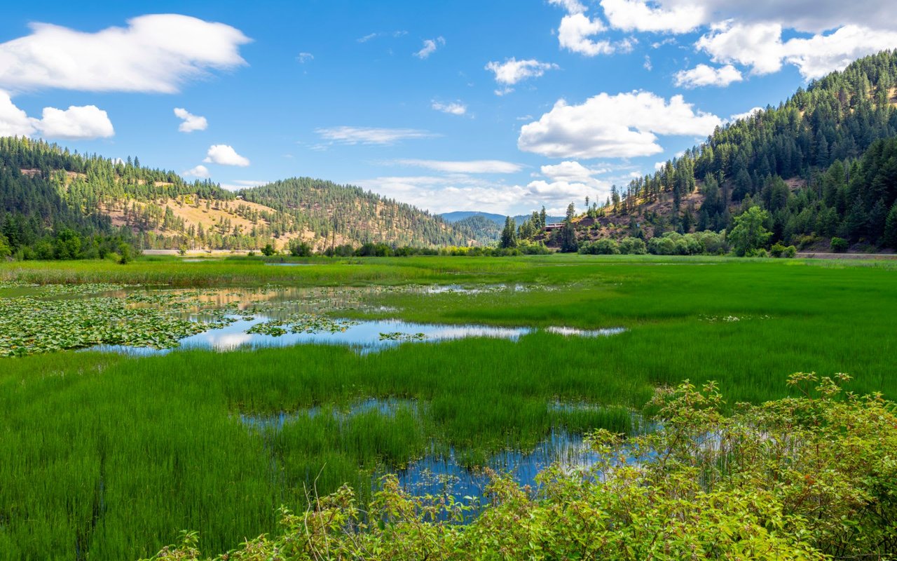 The Ridge at Cougar Bay