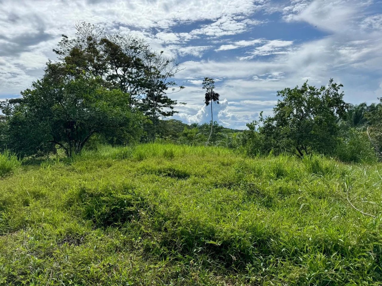 Ocean View Creek Side Land, Osa, Puntarenas