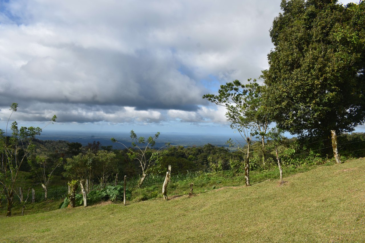 Colina del Tapir | Experience breathtaking views of Lake Nicaragua, with the majestic Concepcion Volcano against the backdrop of Ometepe Island!