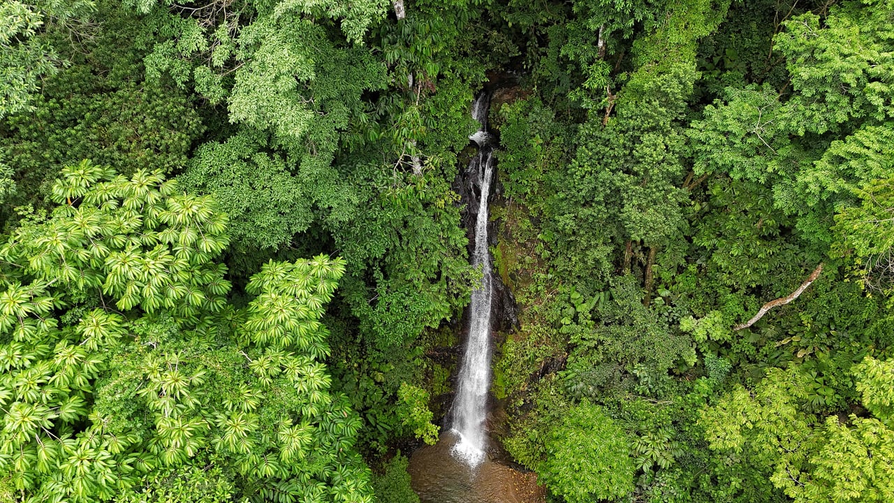 Multi-Home Luxury Estate, With Jungle, Mountain And Ocean Views, Private Waterfalls And Orchards On 71 Acres In Gated Community!