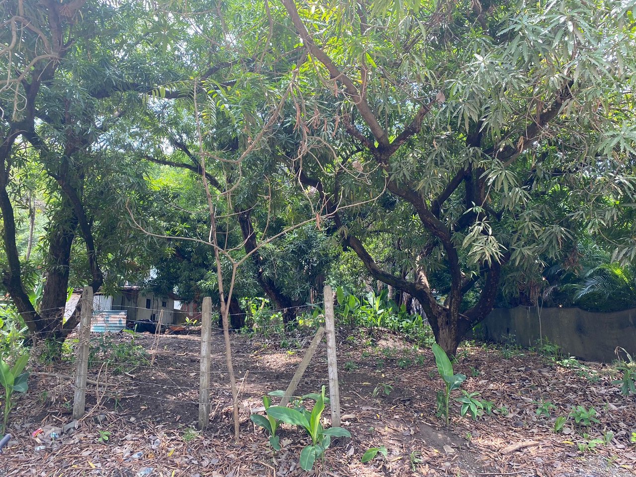 Prime Commercial Development Land, Santa Teresa, Puntarenas