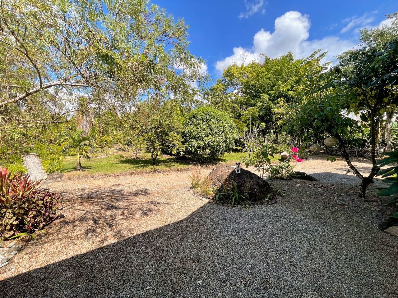 Creekfront Country Acreage Home, Perez Zeledon, San Jose