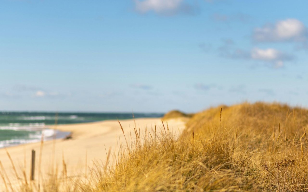 Bernadette's Nantucket Notes, Fall 2024