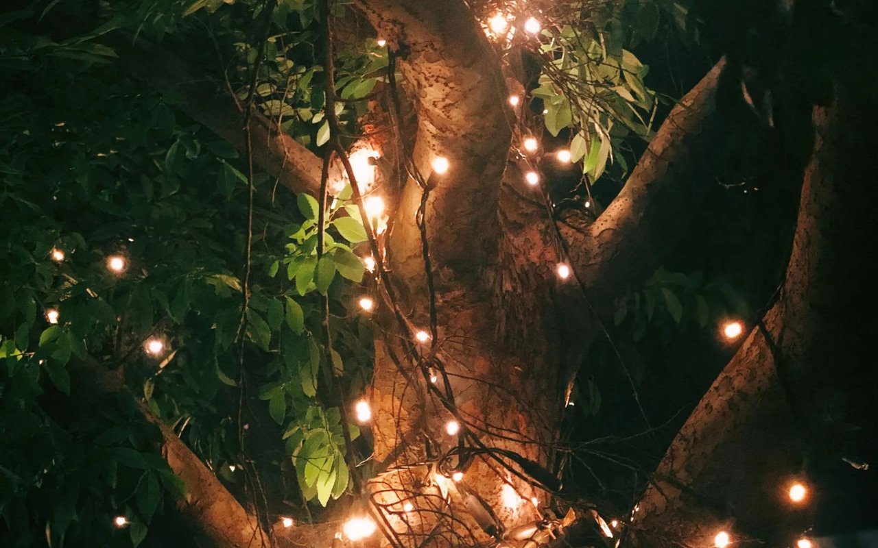 EVERYTHING IS ILLUMINATED