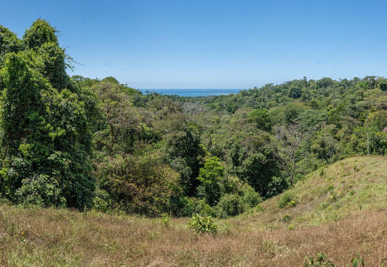 Prime Ocean and Whale tail View Development Land In Uvita