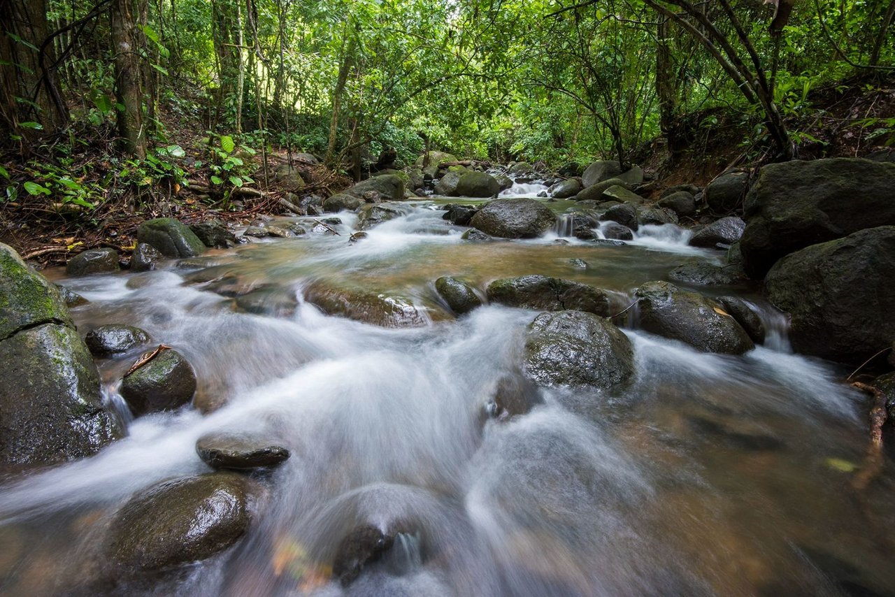 Beachfront Development Land, Dominical, Puntarenas
