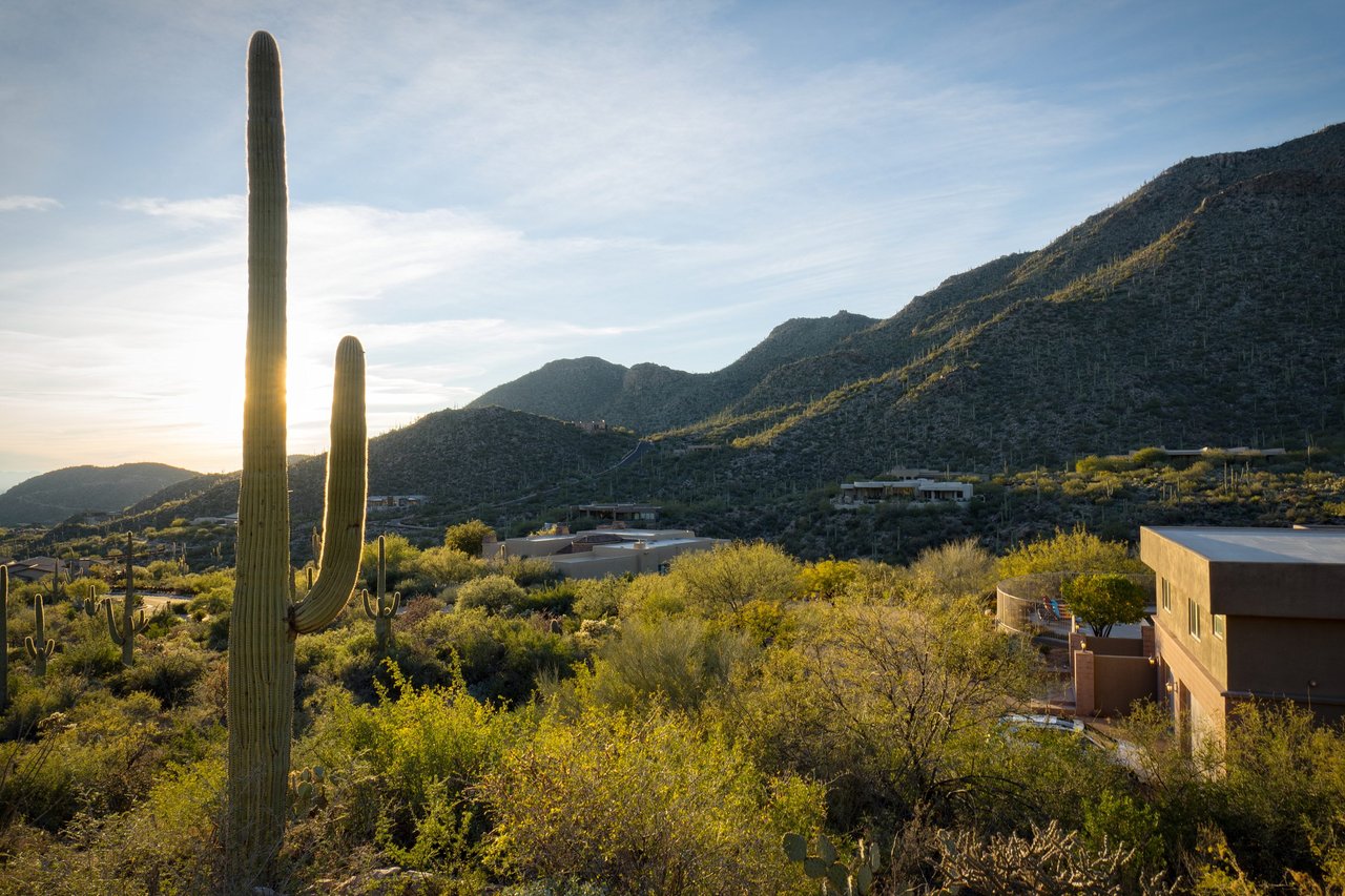 A Desert Oasis Within An Exclusive Gated Community 