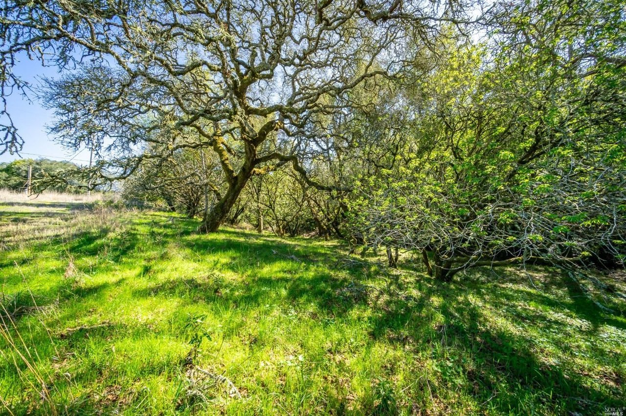 5289 Sonoma Mountain Rd