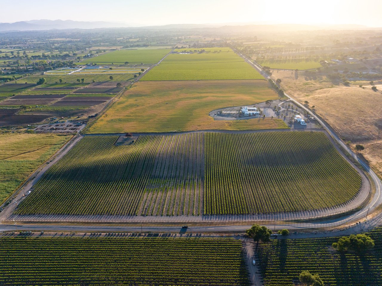 Build your Dream Vineyard Estate