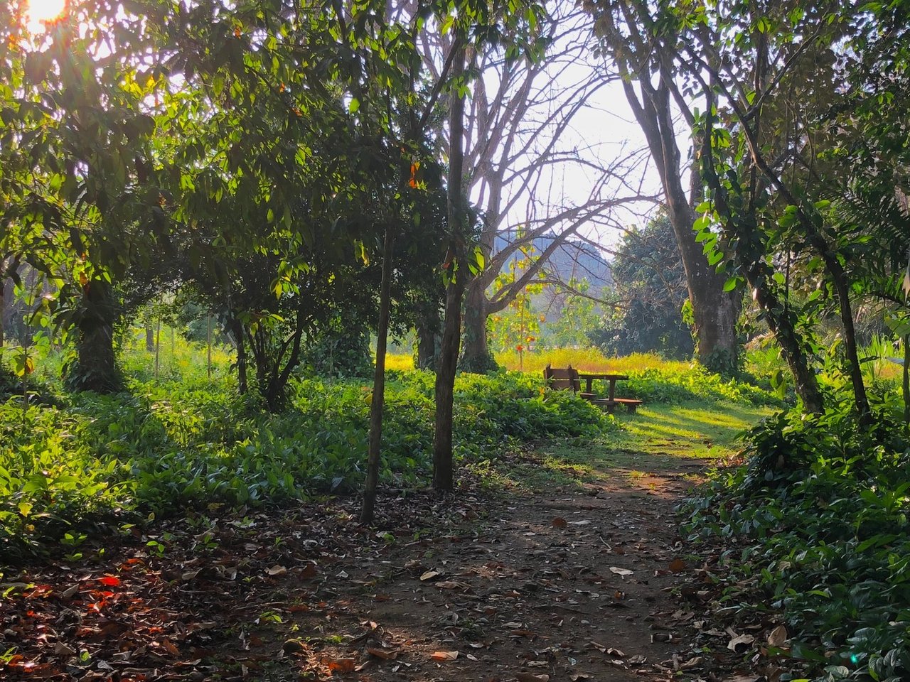 Coastal Development Land, Dominical, Puntarenas
