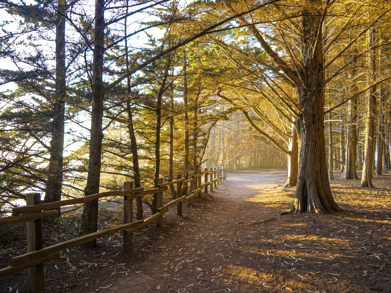 Moss Beach