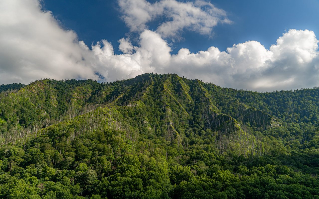 Great Smoky Mountains National Park: NC’s Own UNESCO World Heritage Site