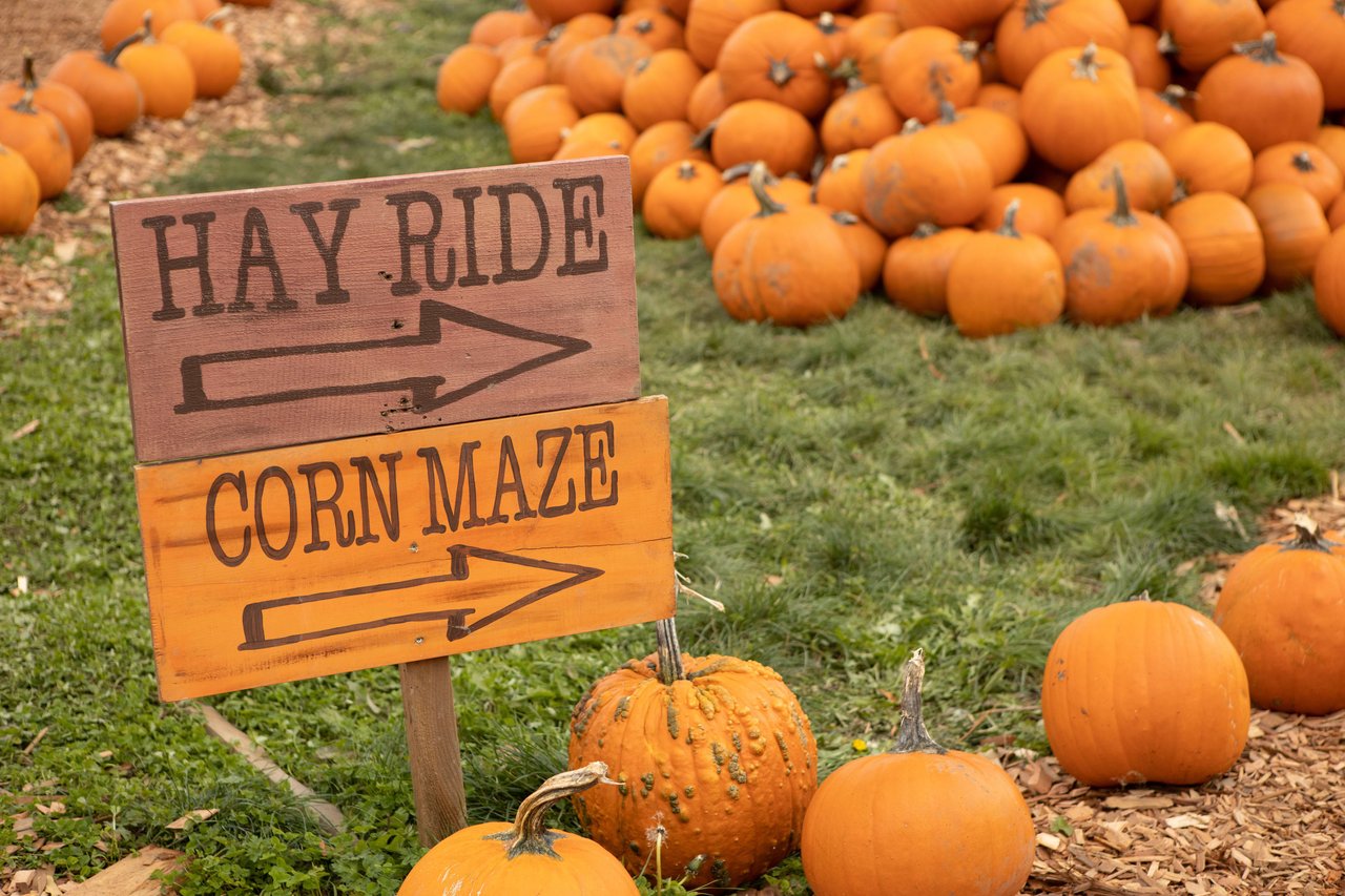 Exploring Denver's Fall Festivities