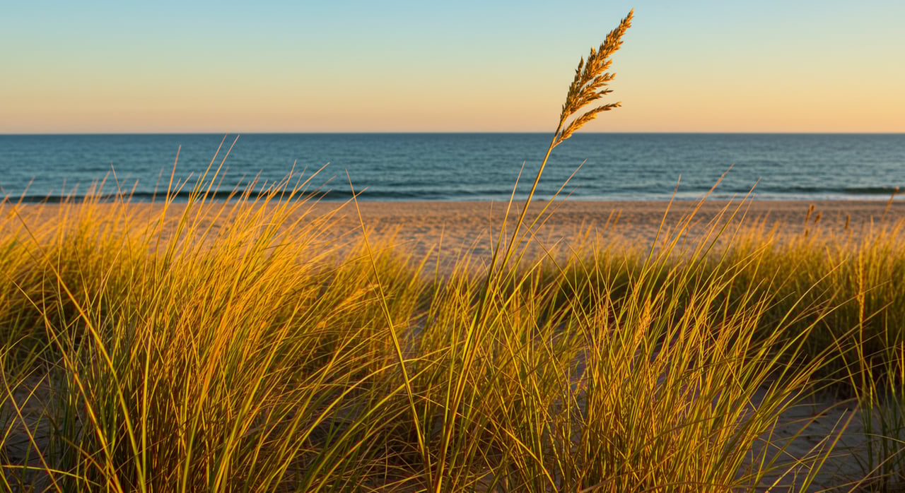 Things to Do in the Hamptons, NY