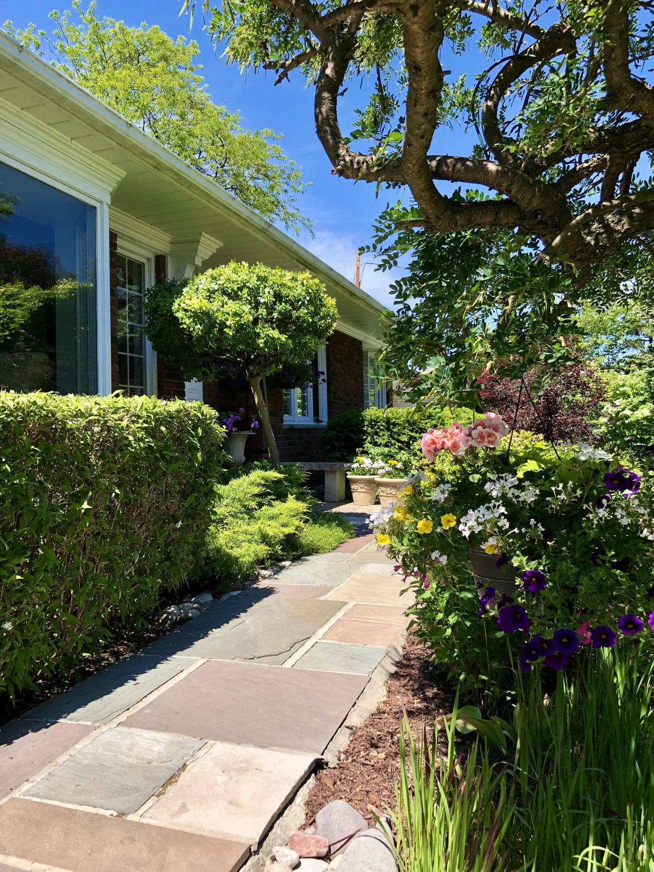 58 Hill Cres
