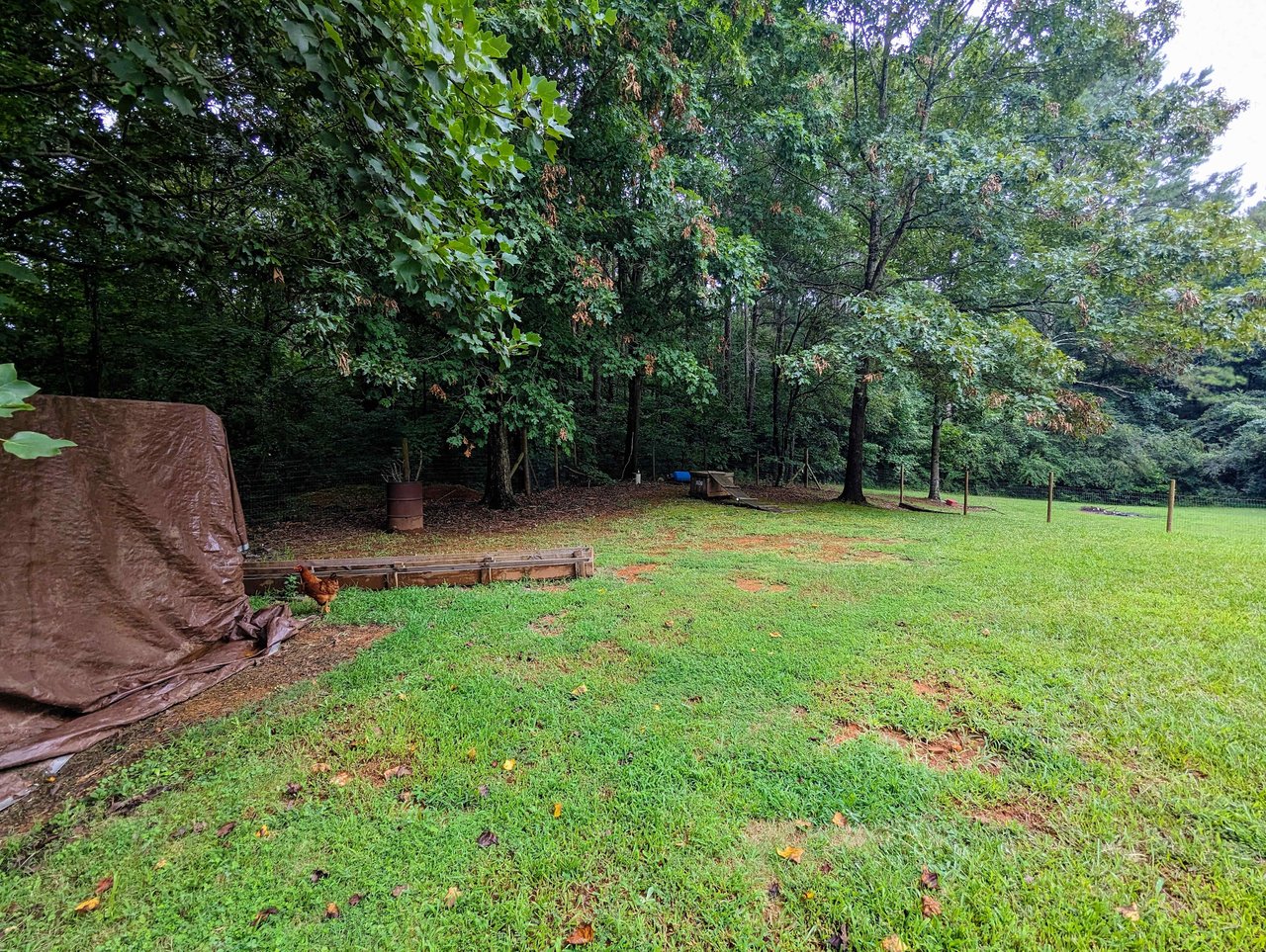 3546 Little Wills Valley Rd, Attalla, AL 35954