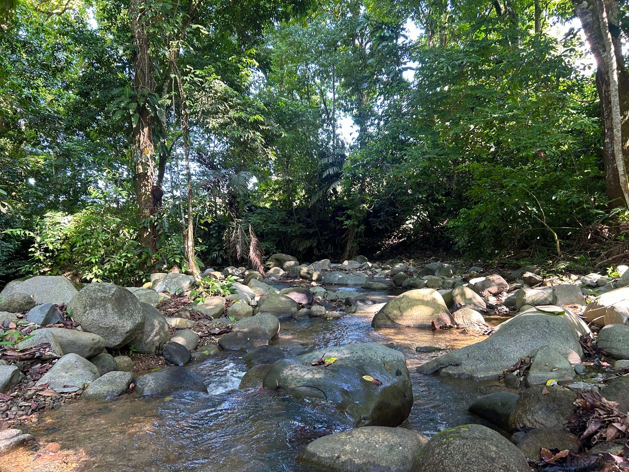 Surfer's Dream in Ojochal; 2 Bedrooms, 2 Bathrooms with Pool and River Access