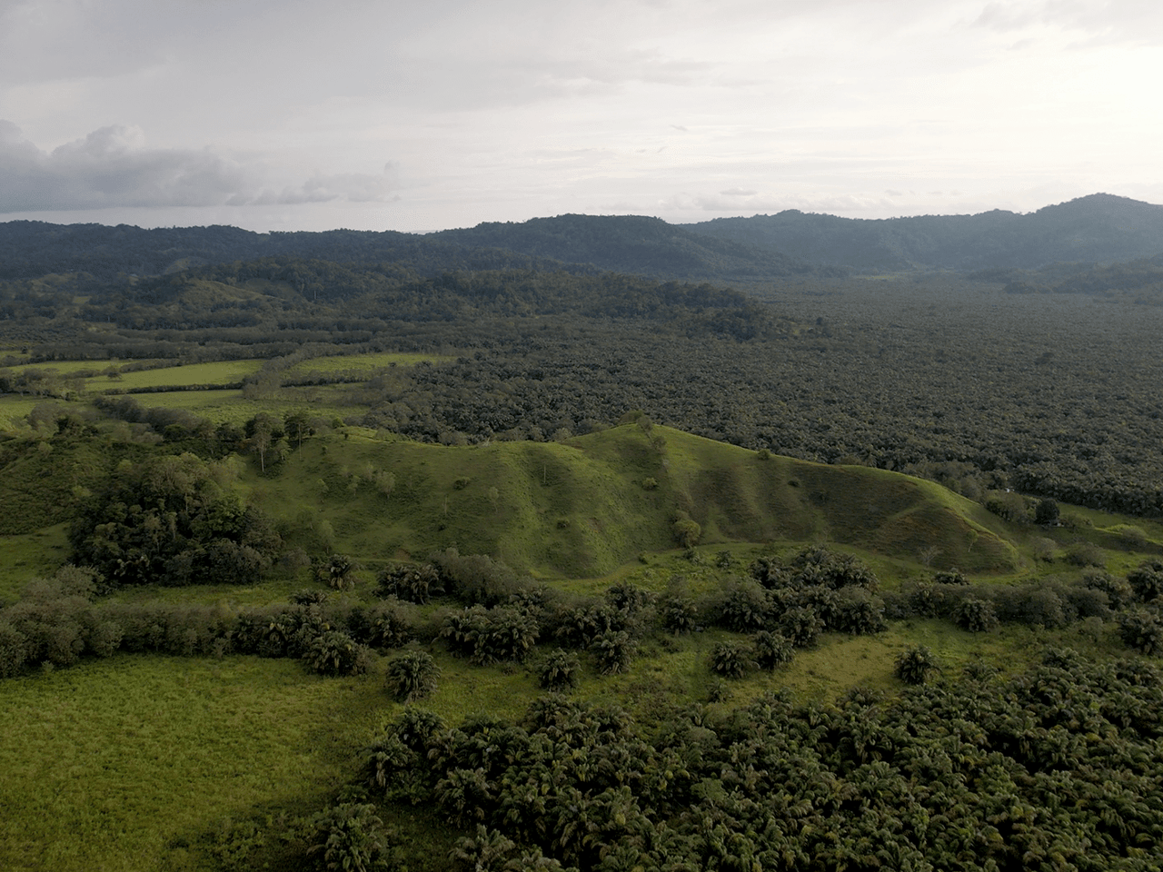 382 Acres of Sierpe River Wild Lands