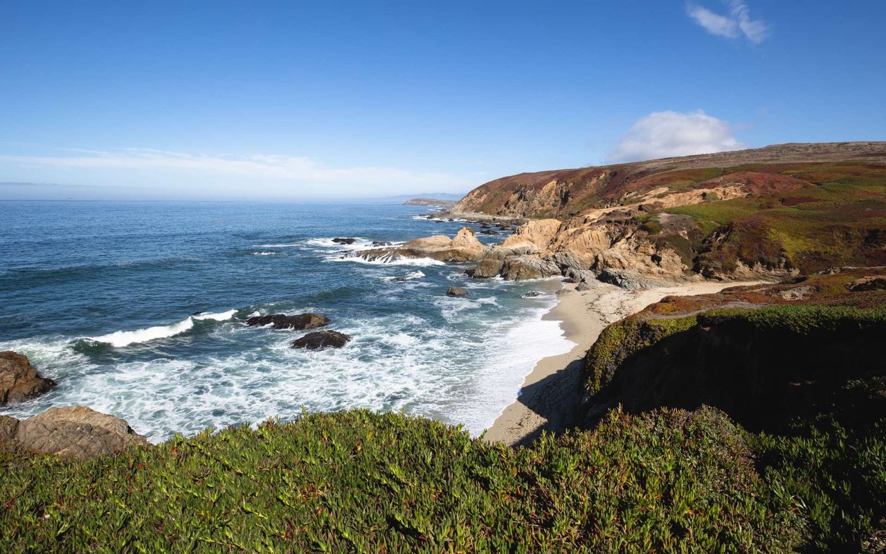 Bodega Bay