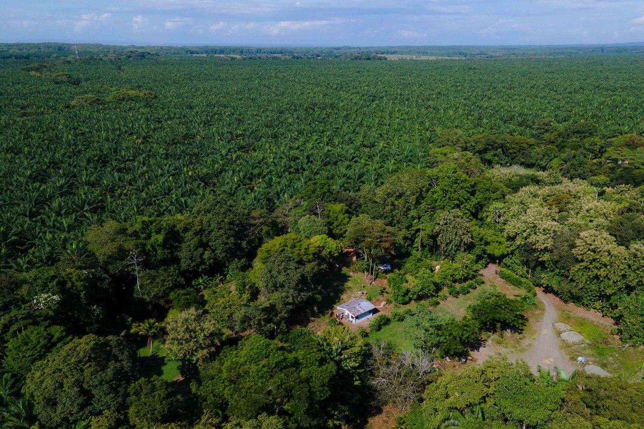 Tropical Paradise Farm in the Heart of Quepos