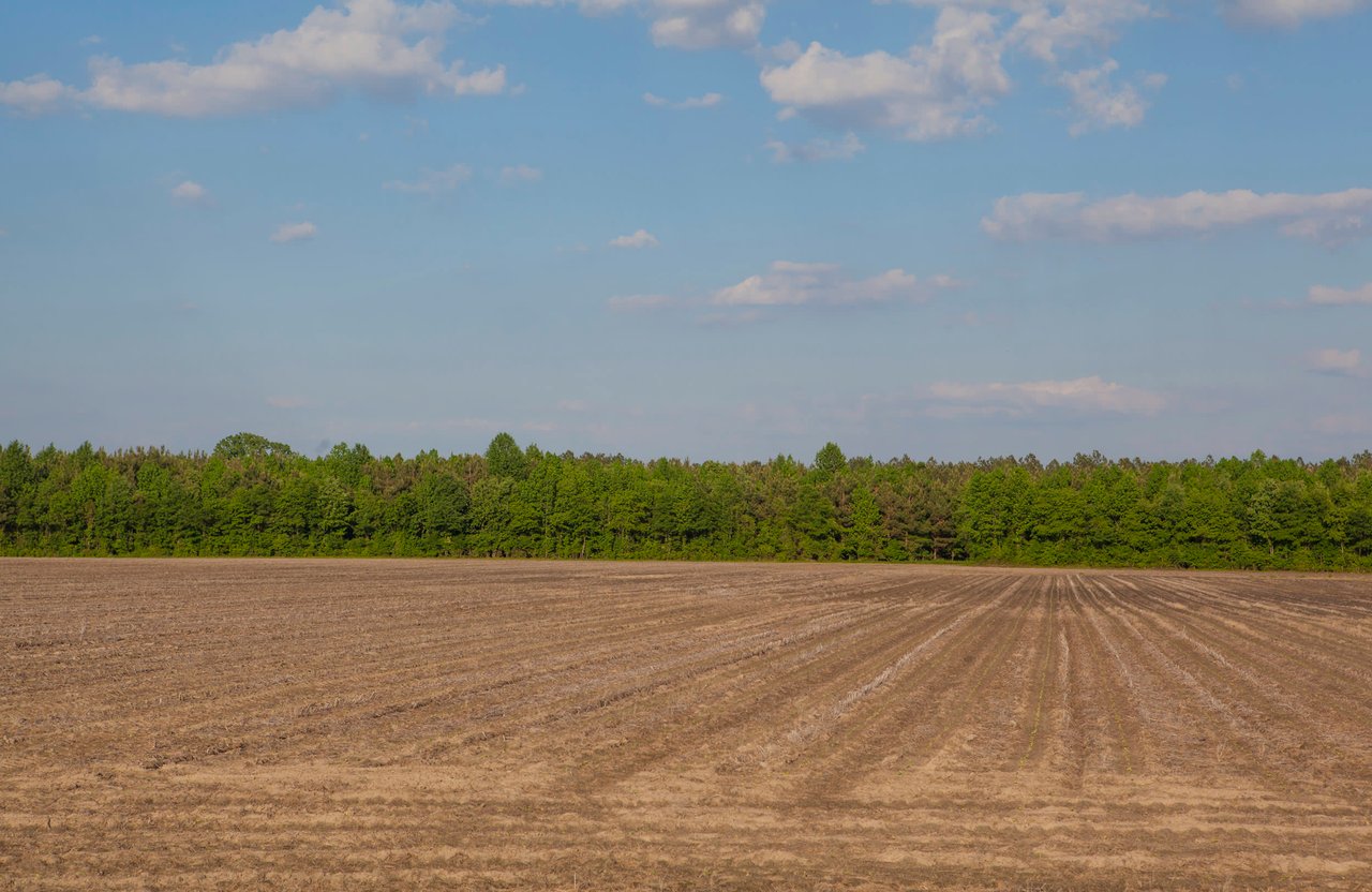 Edgecombe County, NC Land For Sale - 354 Acres