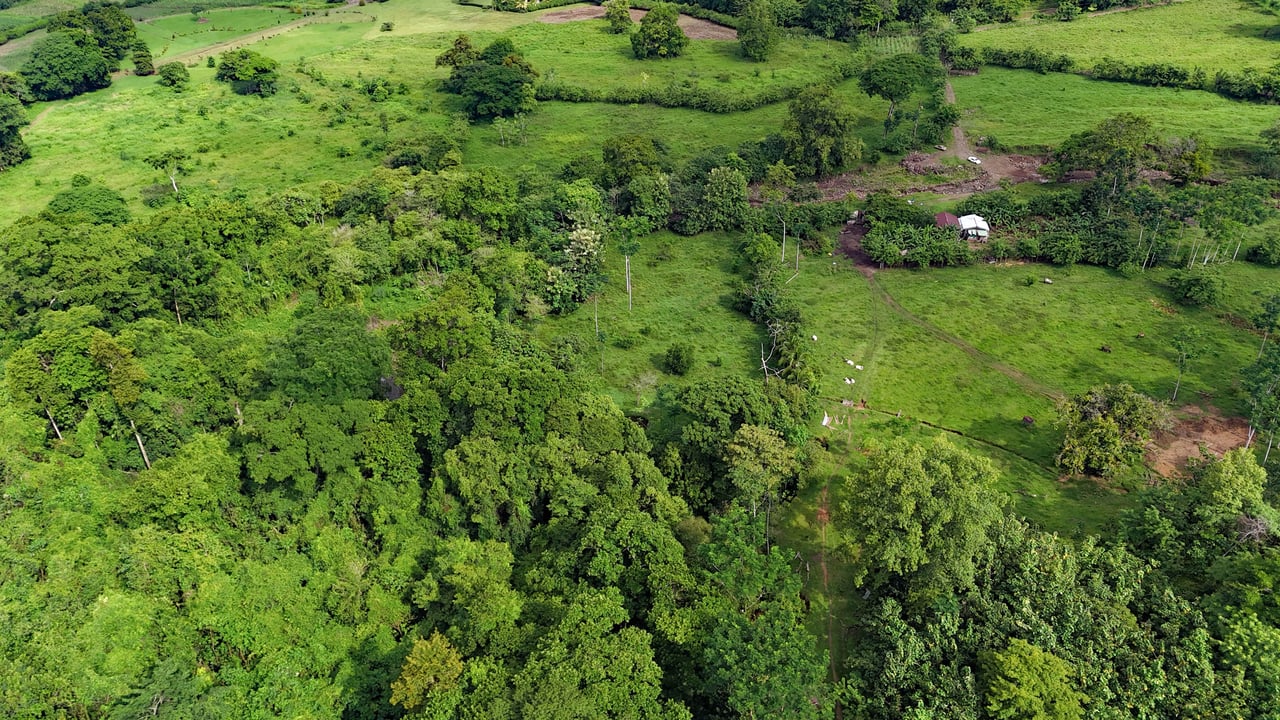 177 acre Ocean view property with multiple plantels, unspoiled mountain, jungle, river and waterfall areas