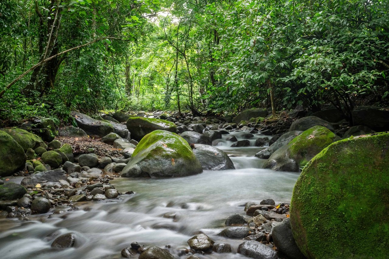 Casa Origen Hidden Away on 2.5 Acres of Land Bordered by a River!