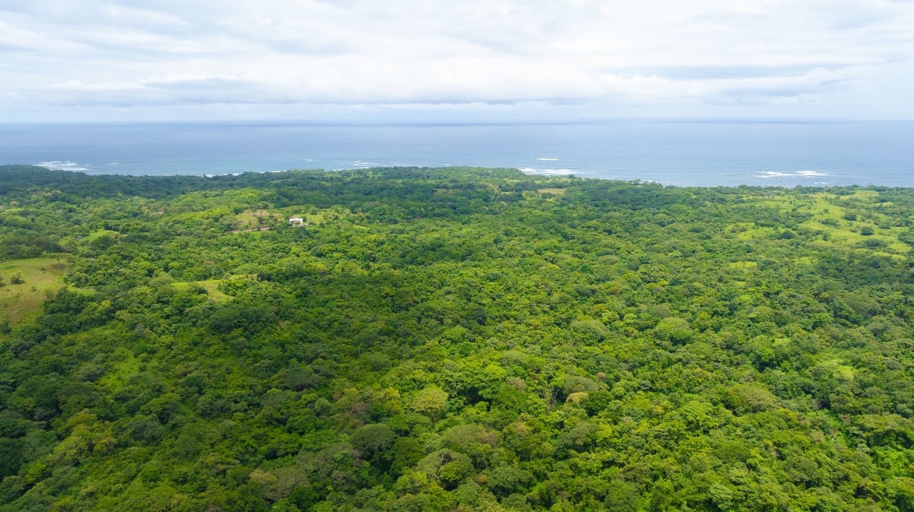 Ocean View Development Site, Nosara, Guanacaste