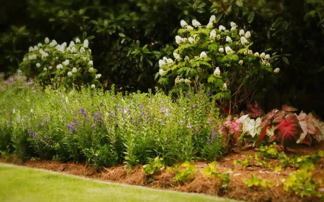 Tips for Gardening in Huntsville AL