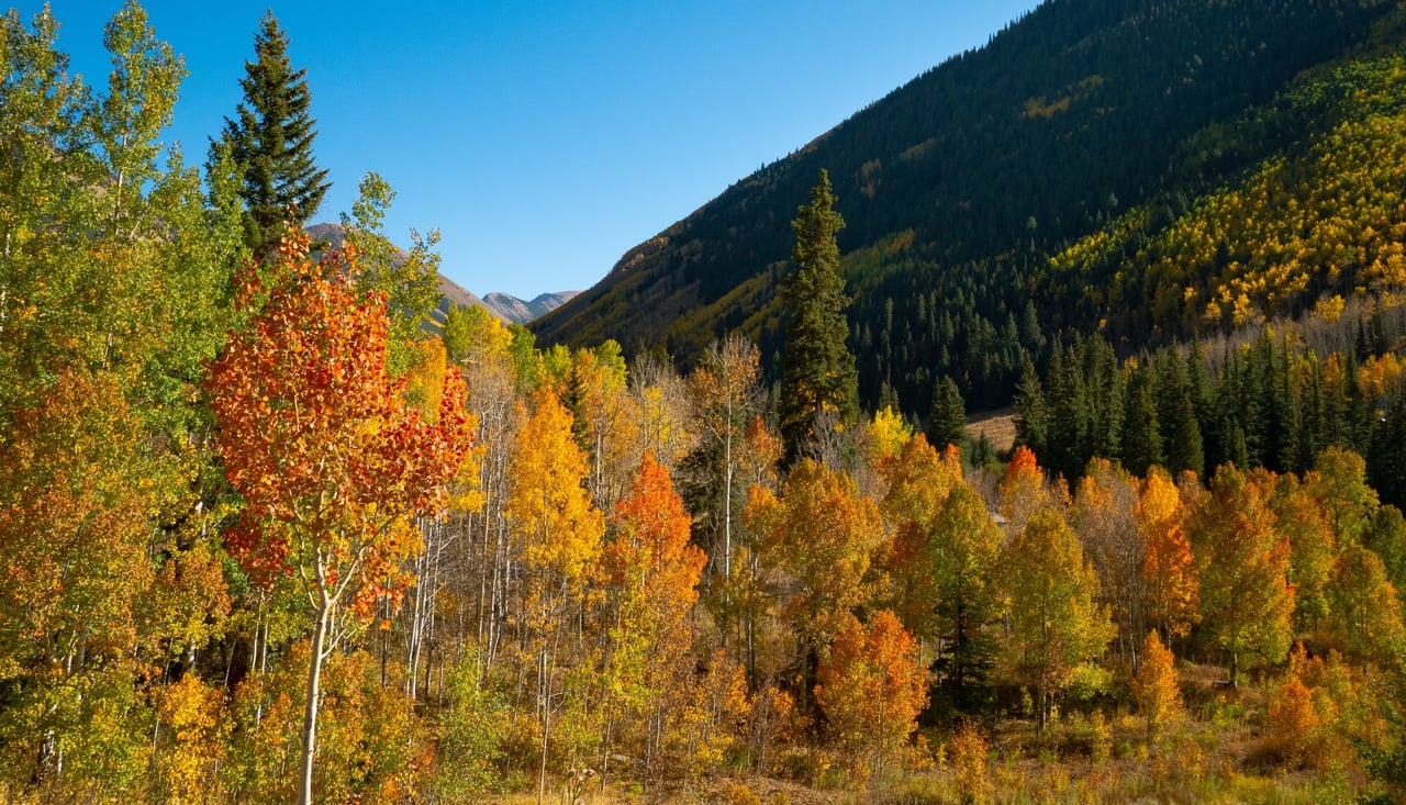 Old Snowmass