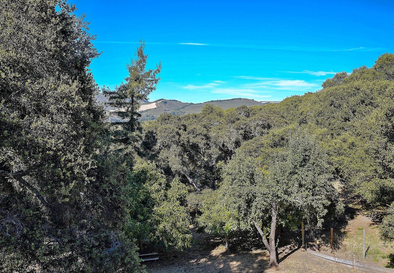 9845 Palisade Dr