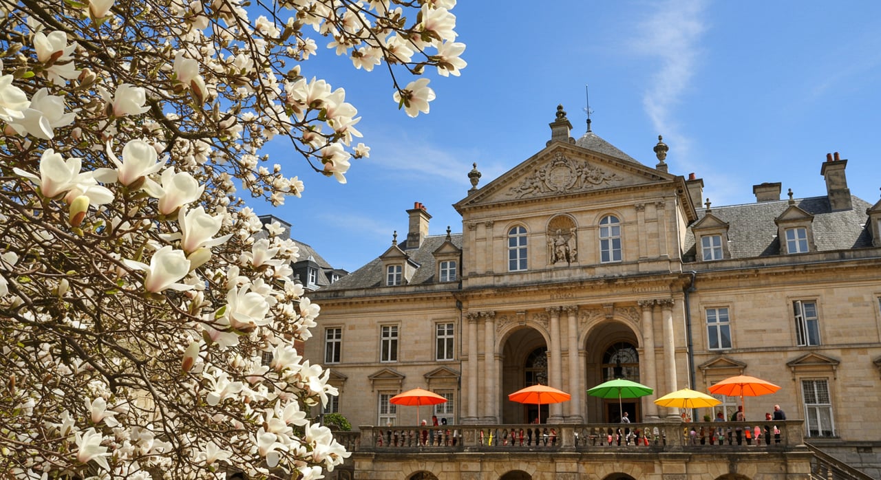 May Bucket List For Madison, Wisconsin