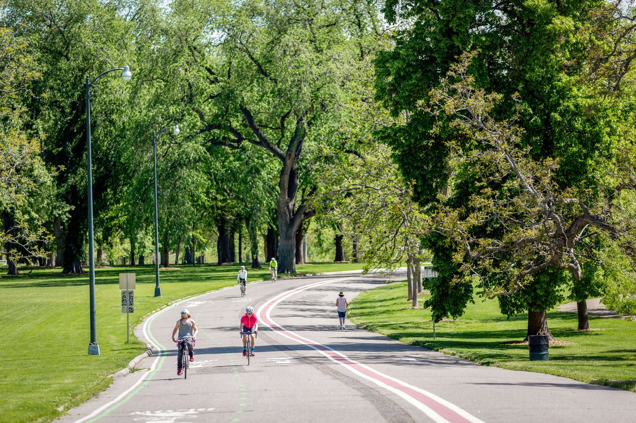 People biking and exercising on the road surrounded by trees.