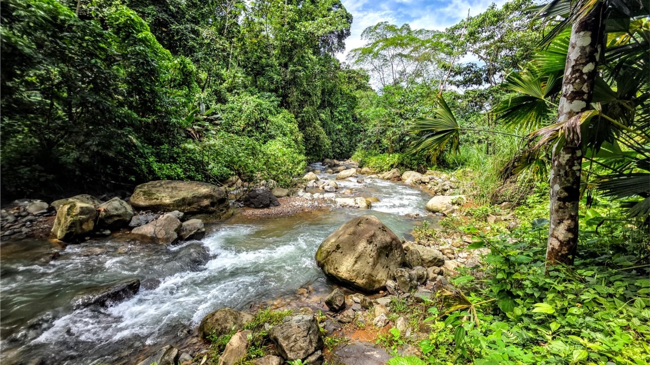 Rainforest Waterfall Acreage Estate, Dominical, Puntarenas
