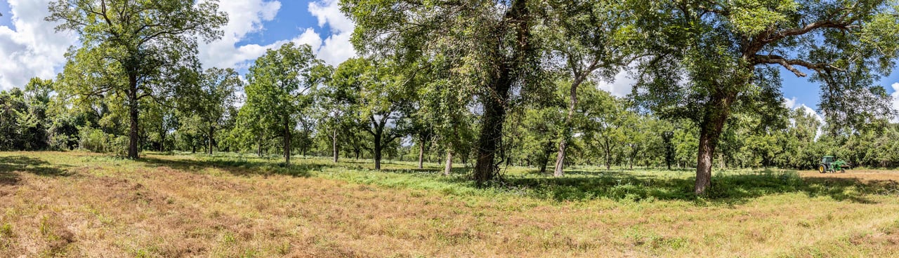 Lovers Lane River Ranch | 140± Acres | DeWitt County