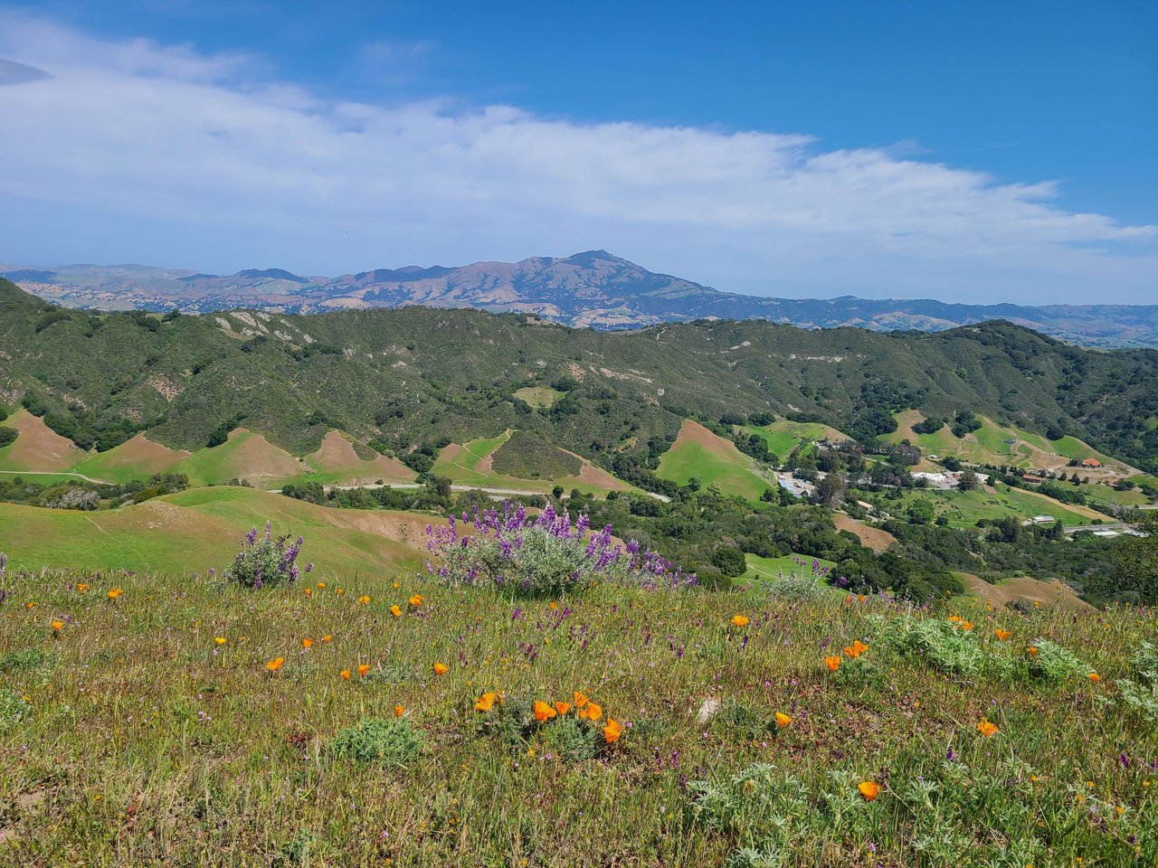 Moraga