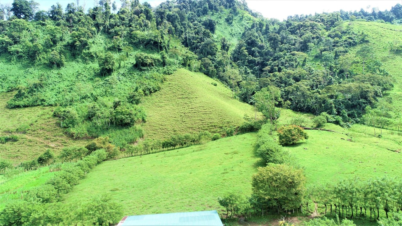 Riverfront Forest Farm, Perez Zeledon, San Jose