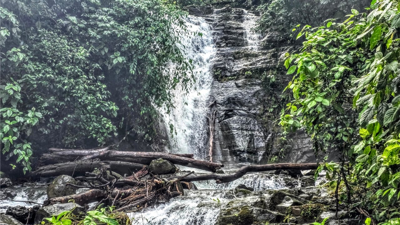 Rainforest Waterfall Acreage Estate, Dominical, Puntarenas