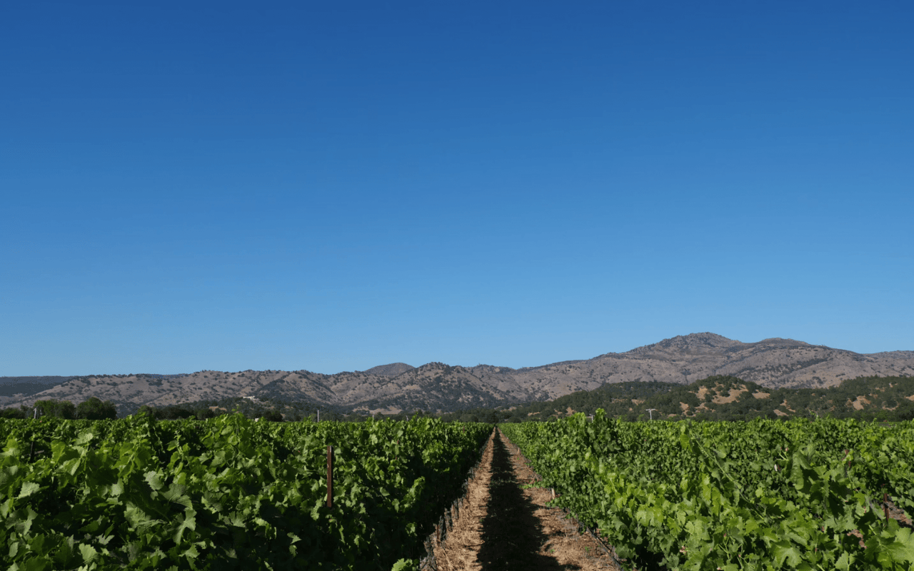 Things You Should Know Before Moving to Yountville