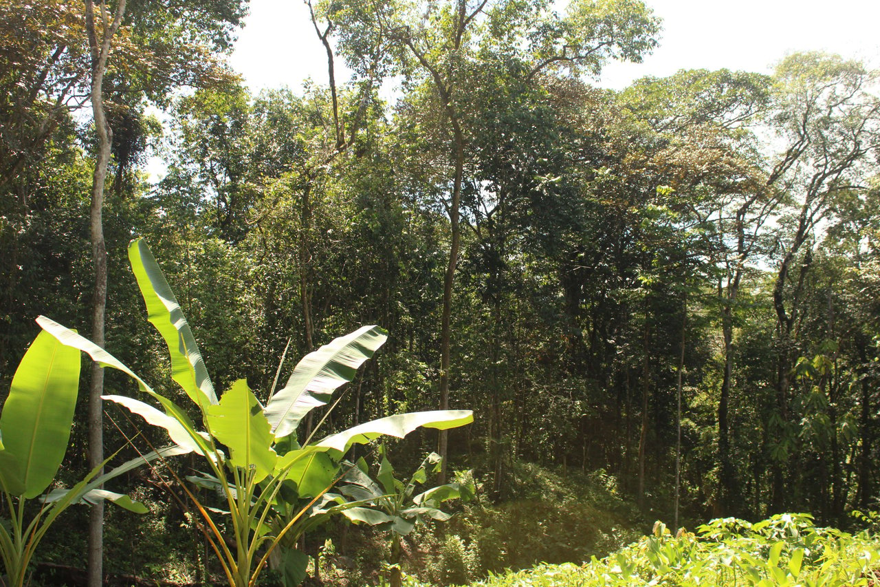 River Frontage Lot close to Uvita