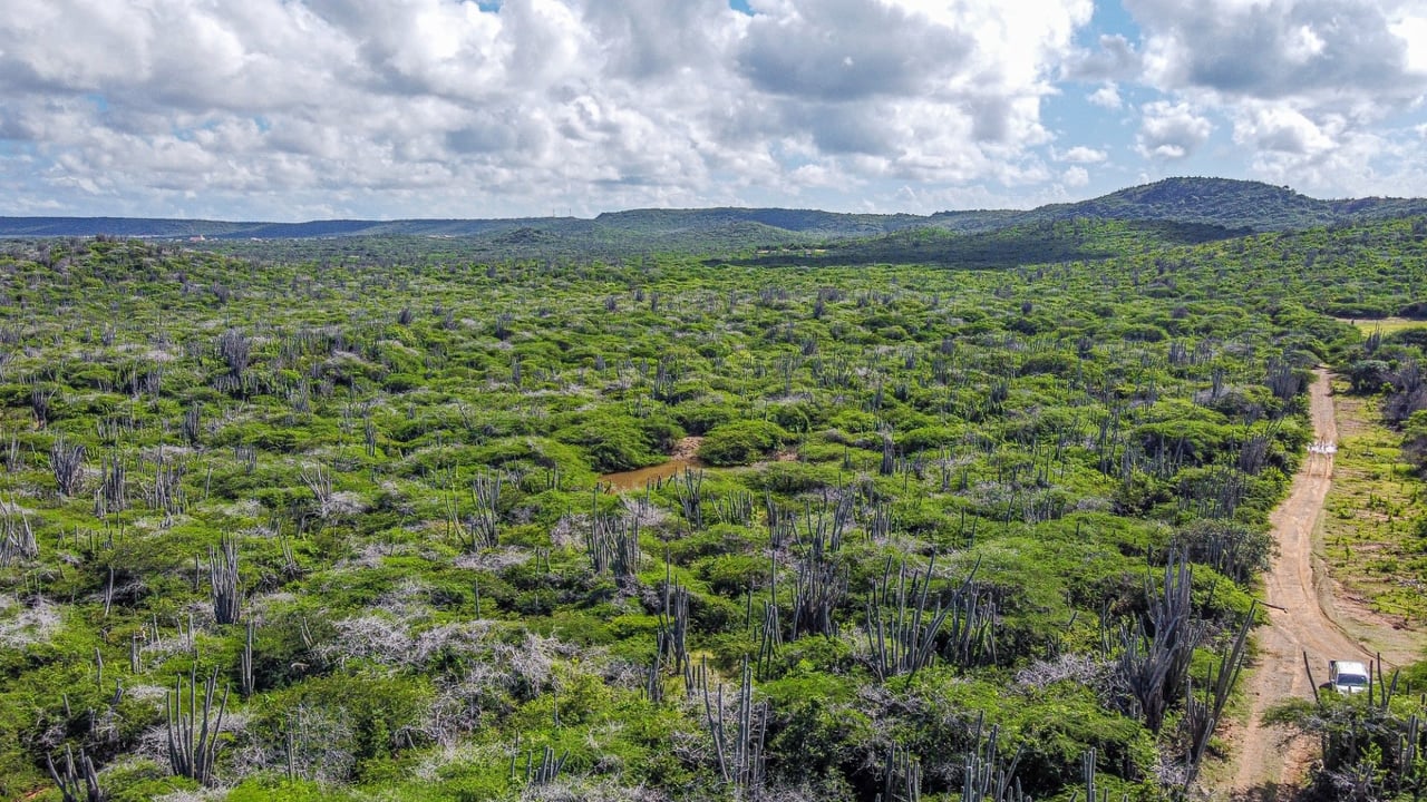 Property land Bonaire