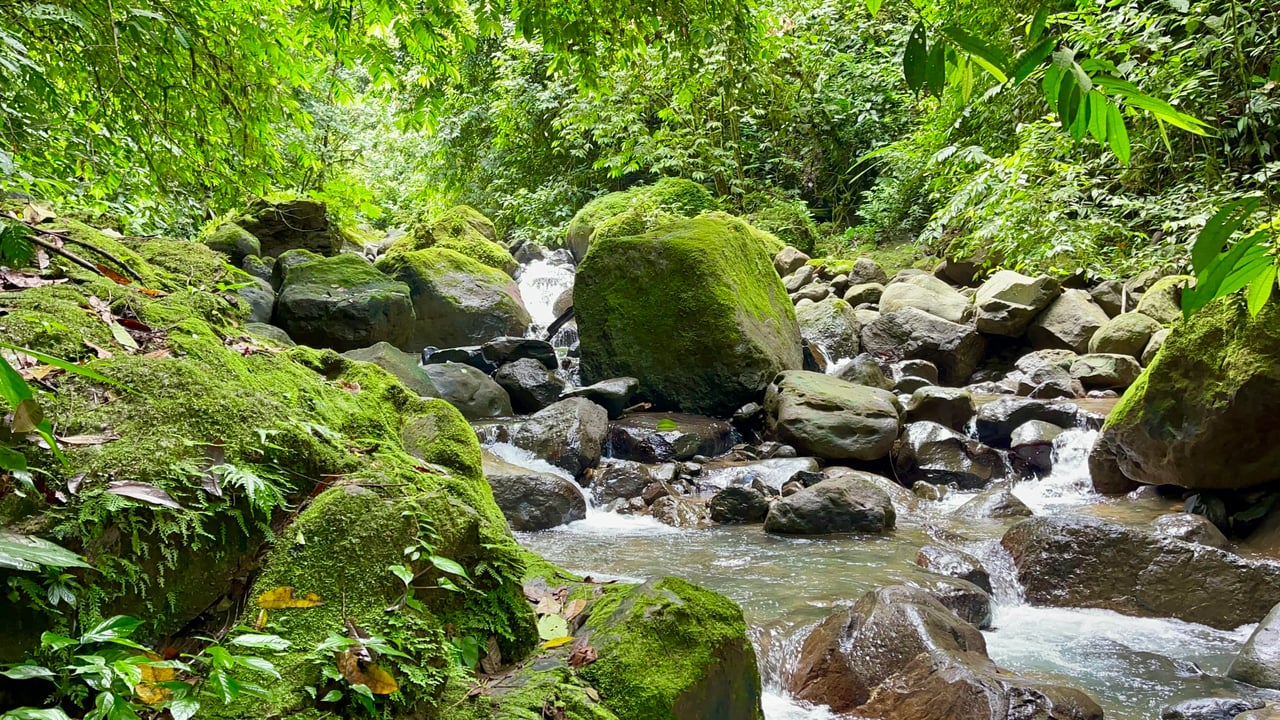 Over 123 Acres Farm in San Josecito De Morete, in Uvita Mountains