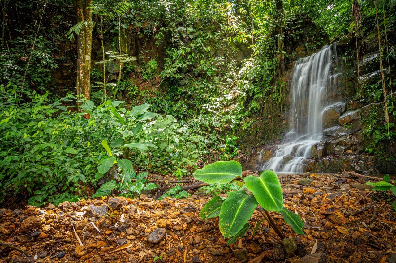 Waterfall Eco Hotel Retreat, Perez Zeledon, San Jose