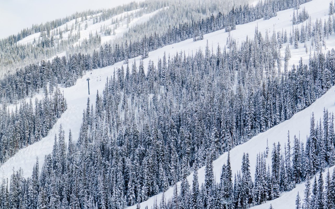 Springtime in The Rockies!