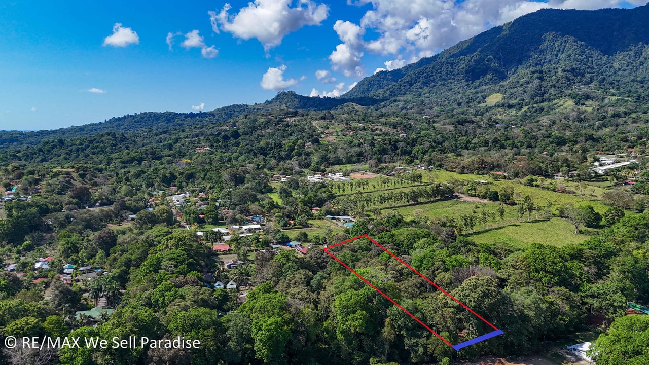 A large jungle-clad piece of land with mountain views, internal creek, and river frontage.