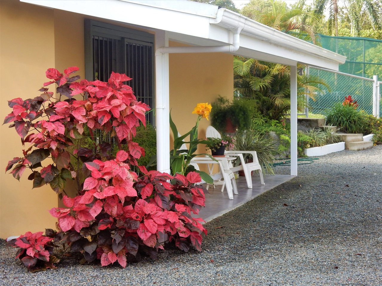 Mountain Home with Guest Cabin, Dominical, Puntarenas