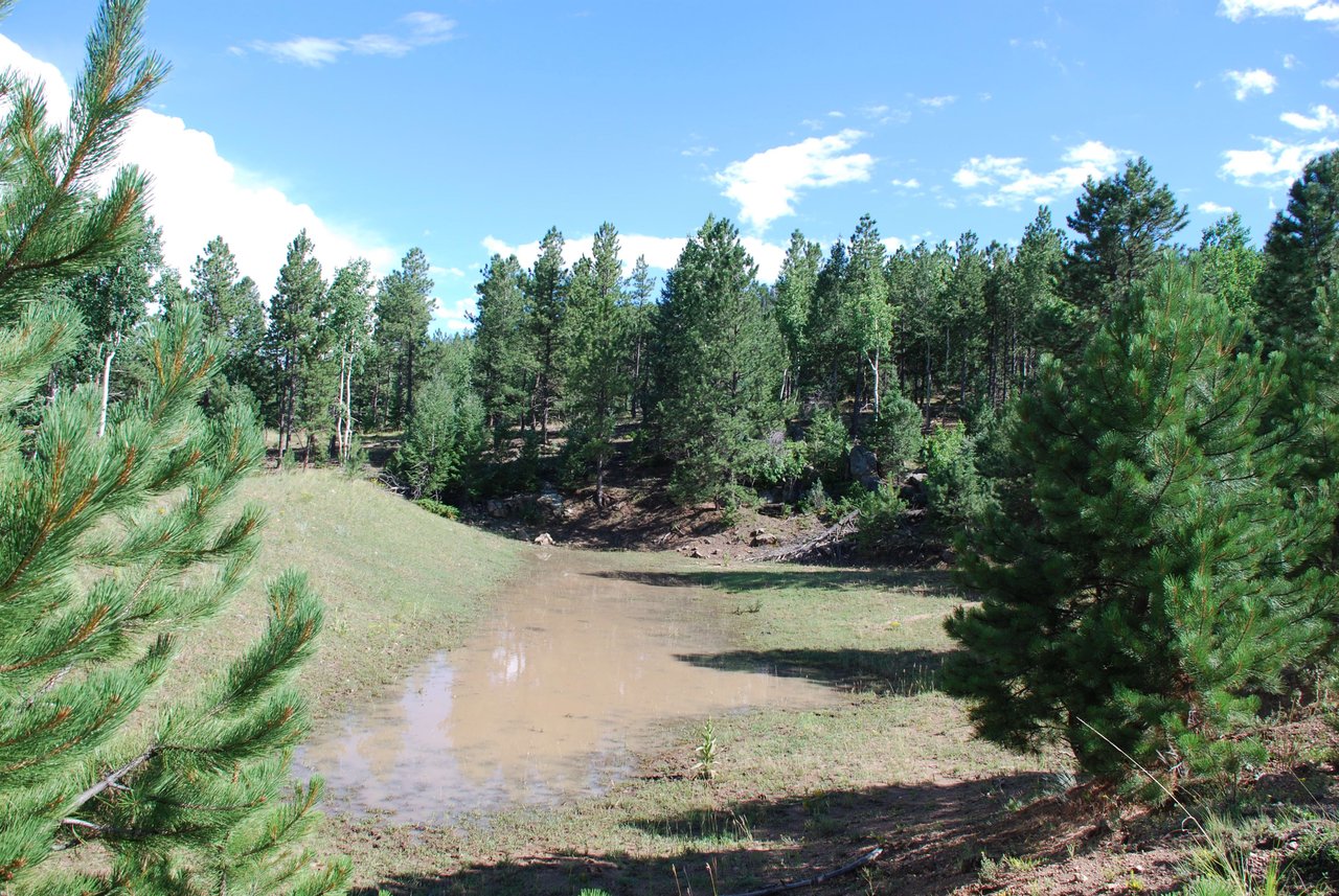 Elk Mountain Ranch