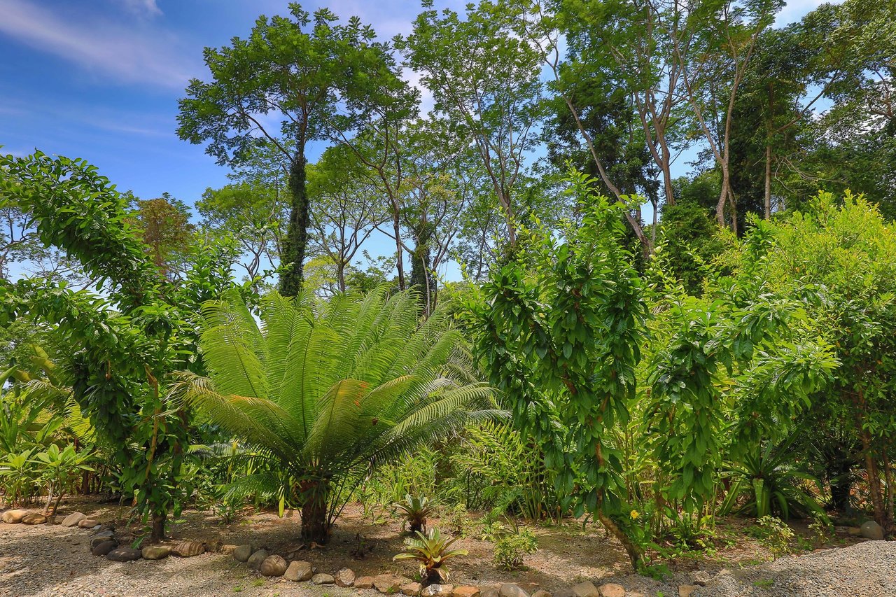Rainforest Estate with Guest House, Dominical, Puntarenas