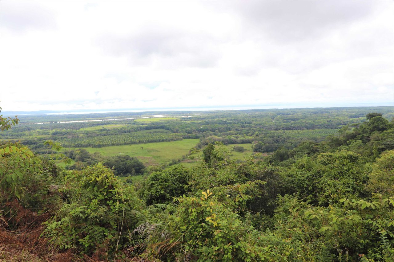 9 acres property with 360 panoramic views and 80m highway frontage